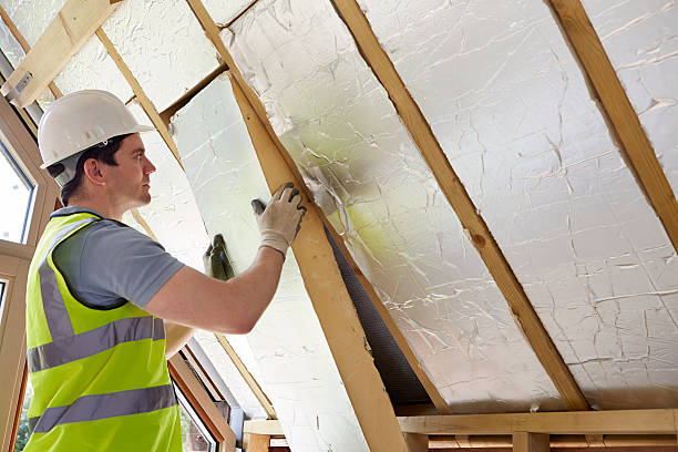 Best Insulation Maintenance and Repair in Moscow, ID